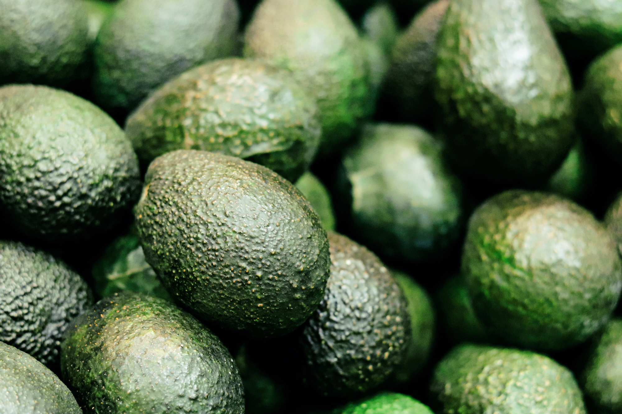 Close-up of green, pebbly-skinned avocados piled together in a heap.