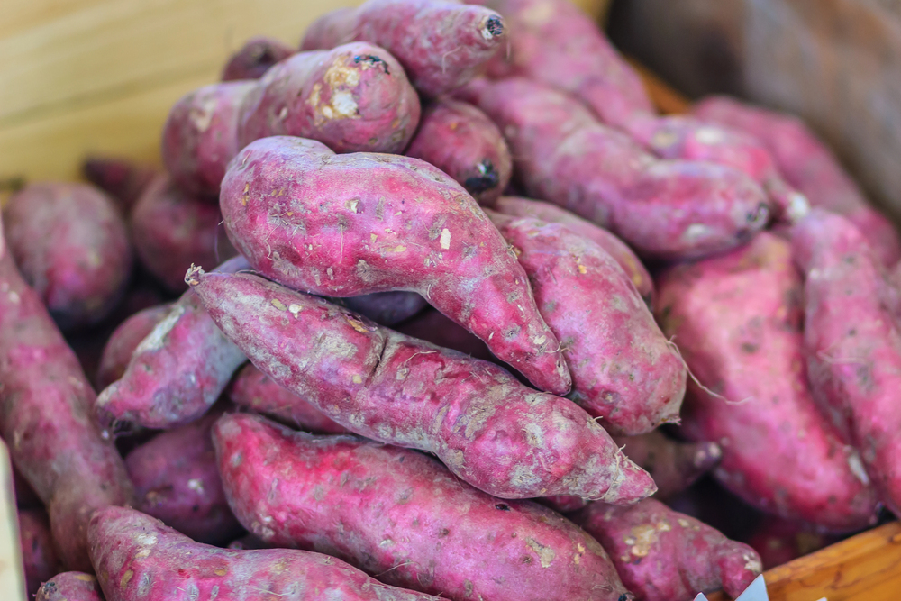 Japanese sweet potatoes with reddish-purple skin and creamy white flesh, a nutrient-dense root vegetable rich in fiber and vitamins