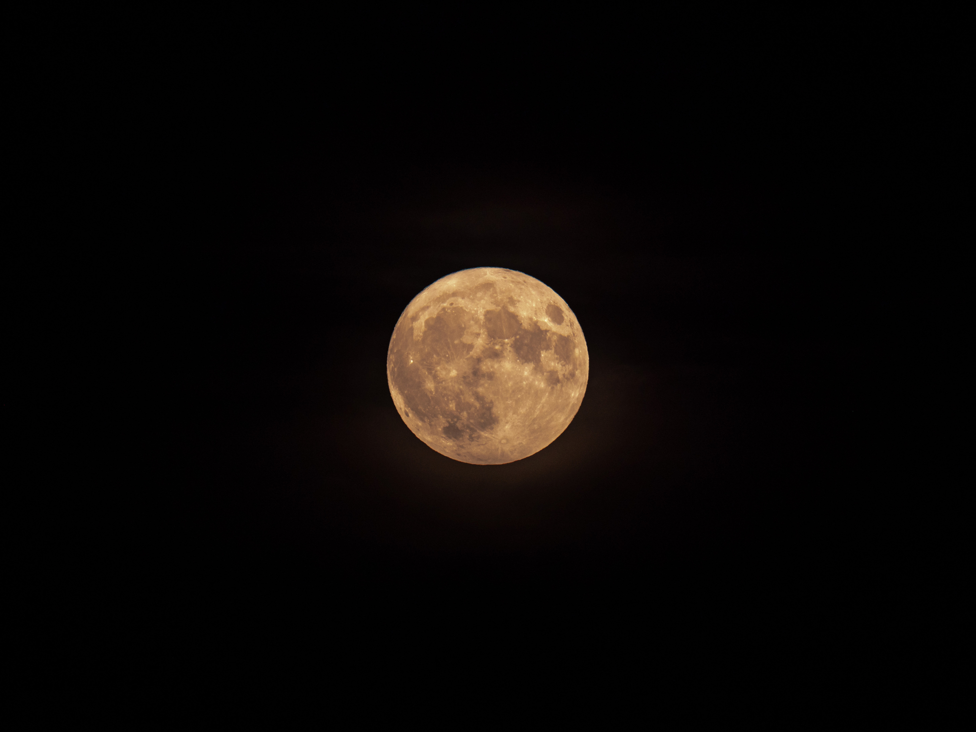 Full Harvest Moon rising orange above the horizon in September