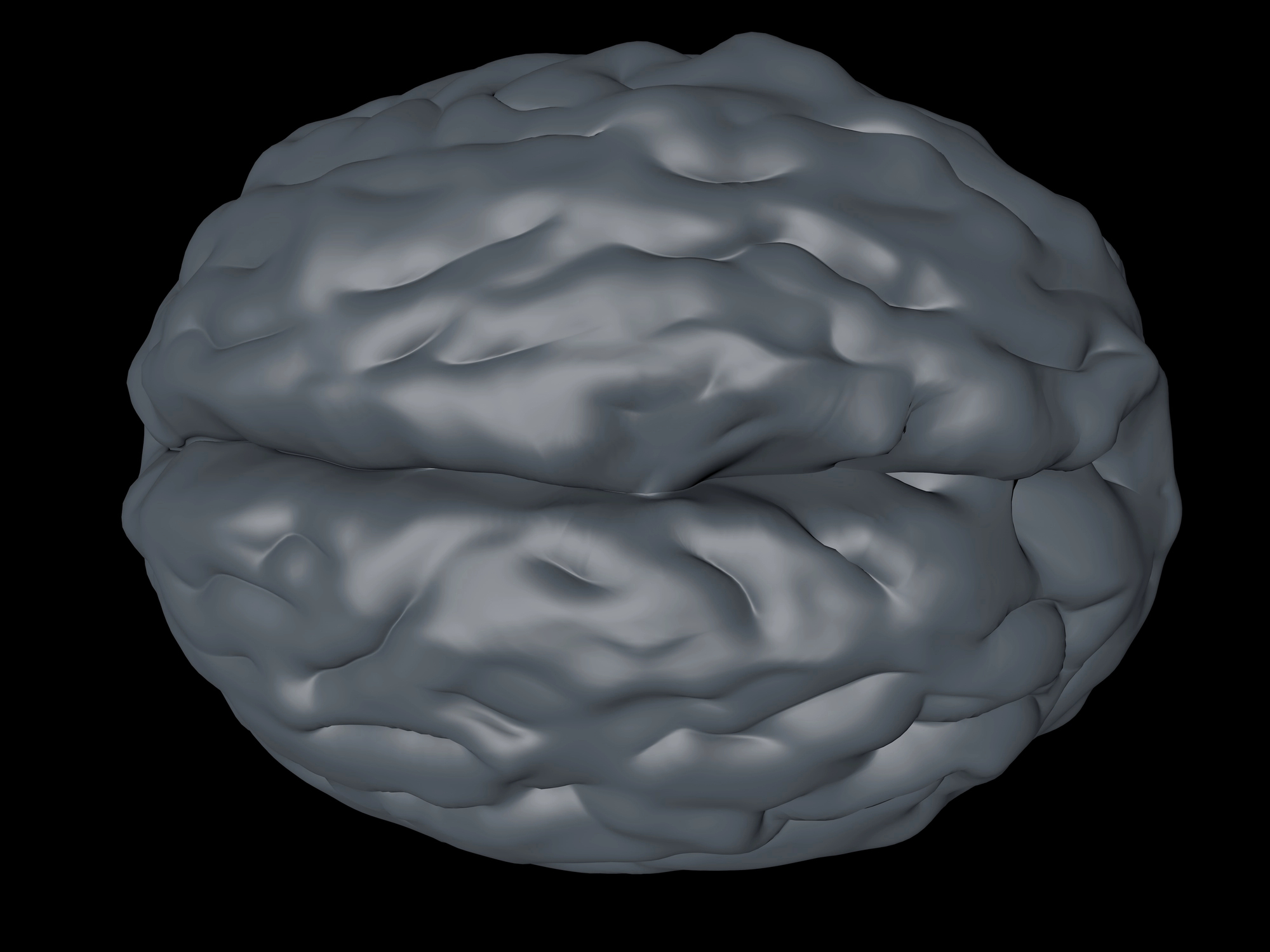 Abstract gray 3D model resembling a brain against a black background, viewed from above.