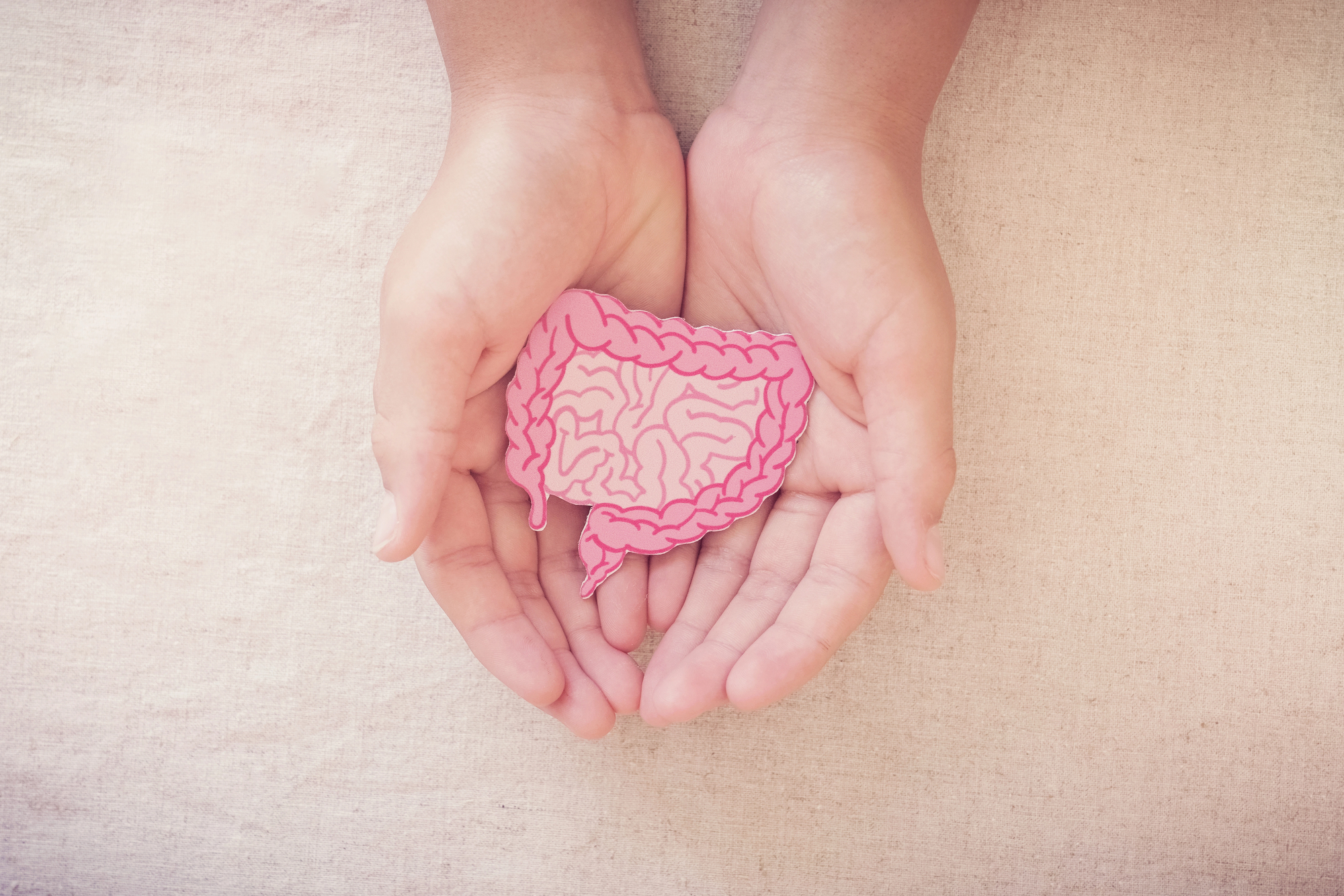 Hands cupping a pink cardboard cutout of a brain.