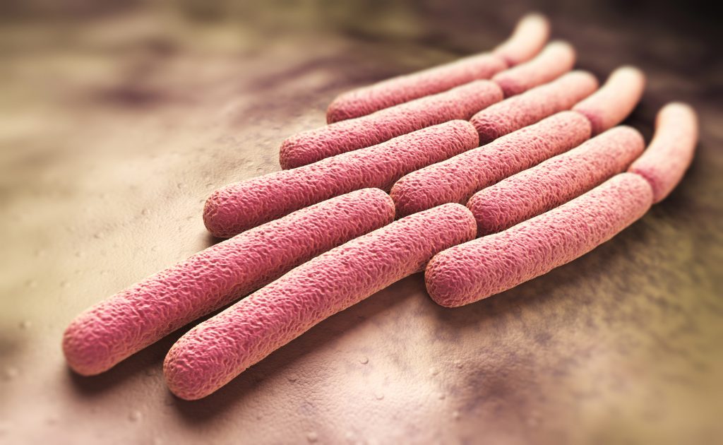 Why the poo taboo has held back a killer disease, and what’s changing