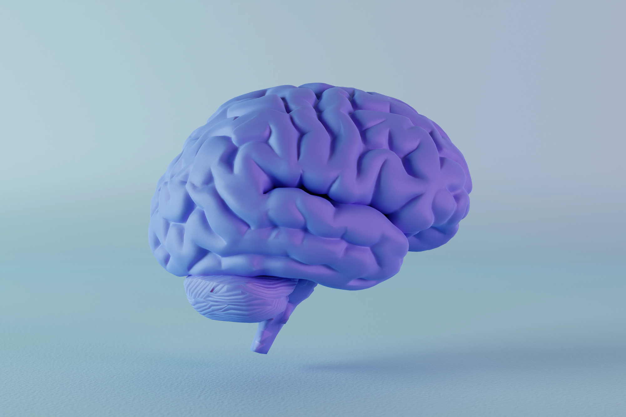 Close-up of a purple brain model suspended in midair against a pale blue background.