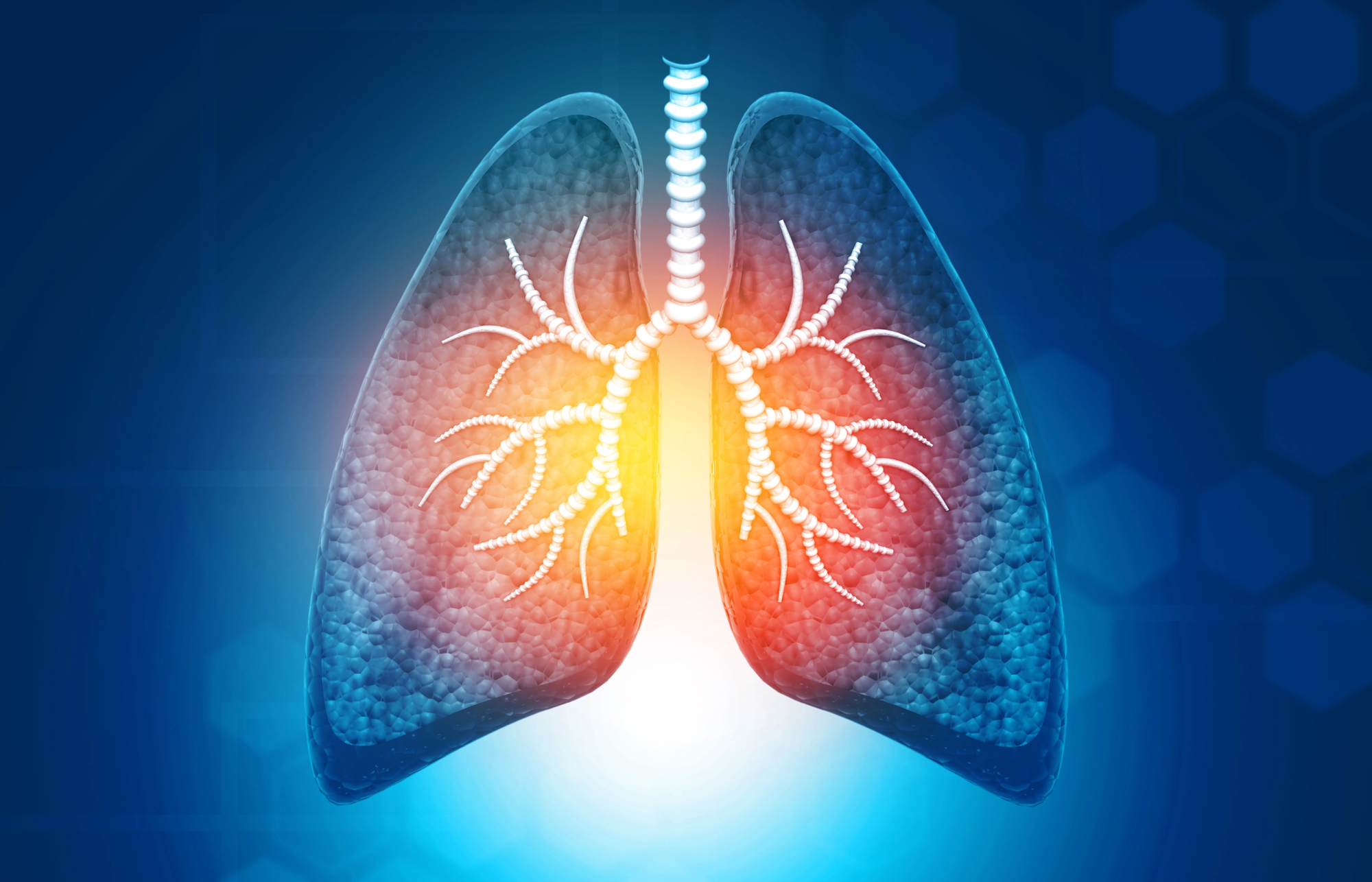 An anatomical illustration of the human lungs showing the trachea and branching airways with a warm orange glow at the center.