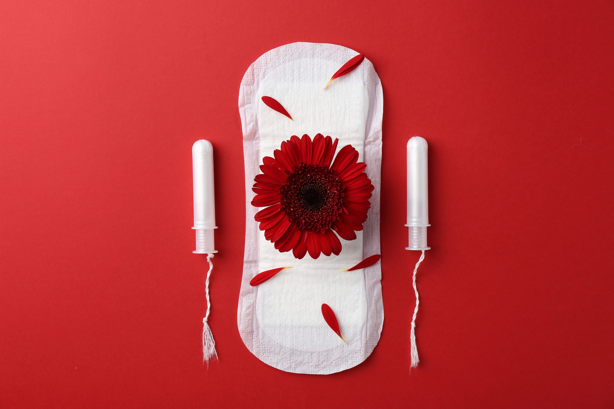 White sanitary pad laid on a red background, decorated with a bright red gerbera flower and scattered red petals for a feminine themed image.