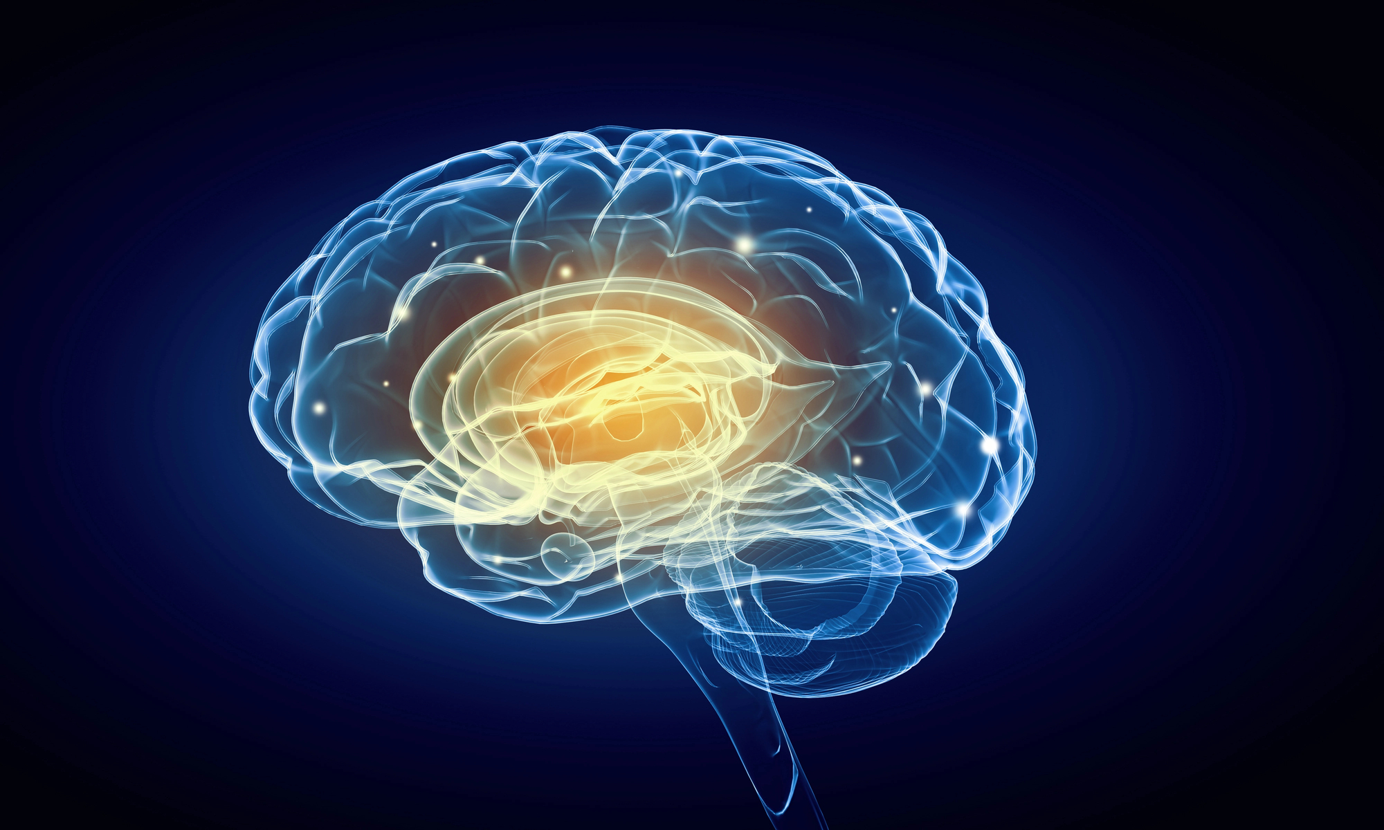 Abstract neon-brain illustration showing glowing neural pathways in a side view, against a dark blue background.