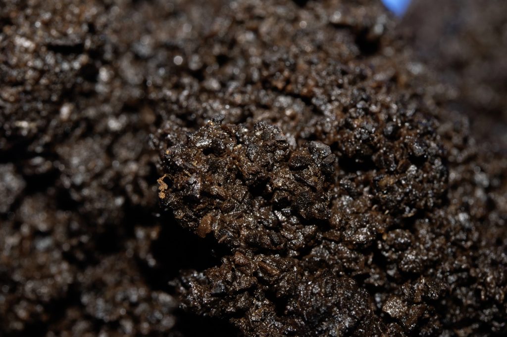 Close-up of wet, dark brown soil with small clumps and granular texture.