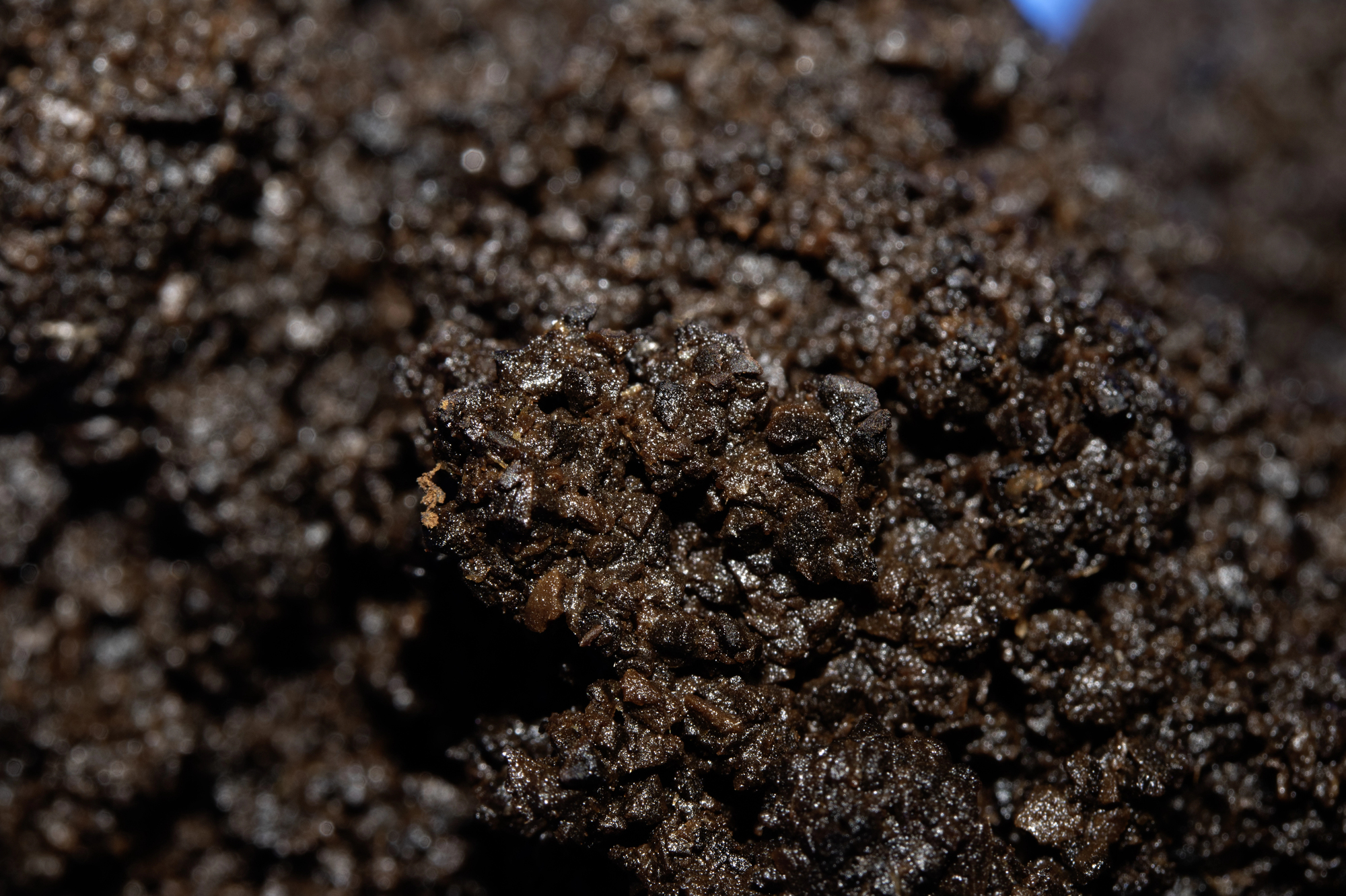 Close-up of wet, dark brown soil with small clumps and granular texture.