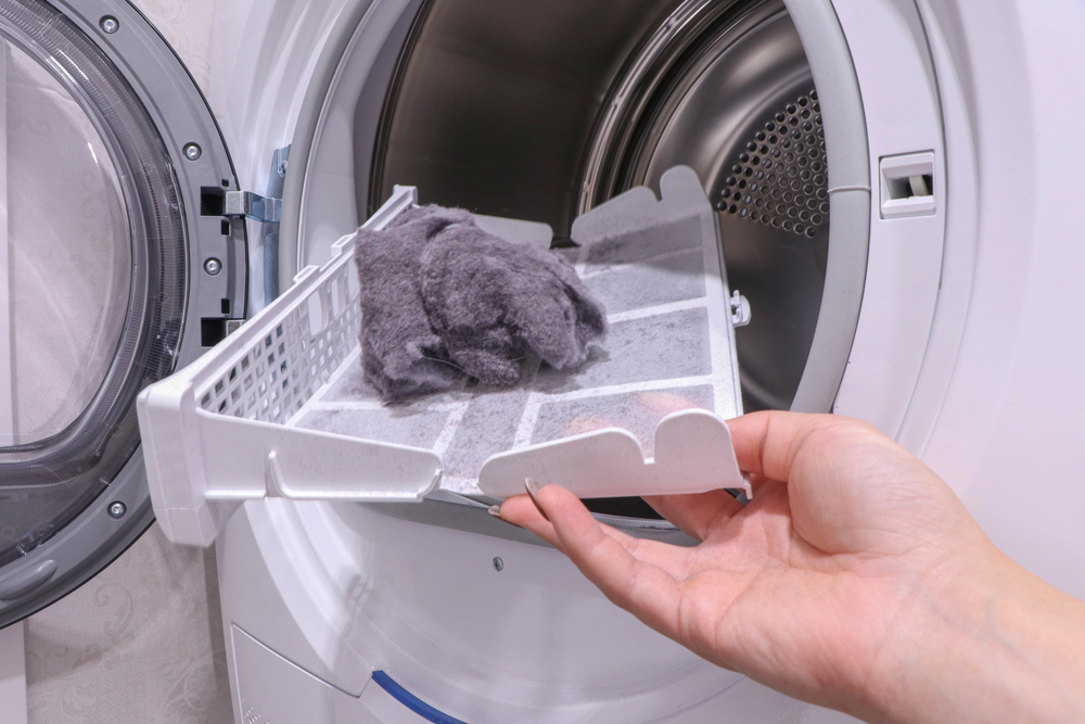 Hand holding a lint filter tray with gray lint near the door of a front-loading washing machine.