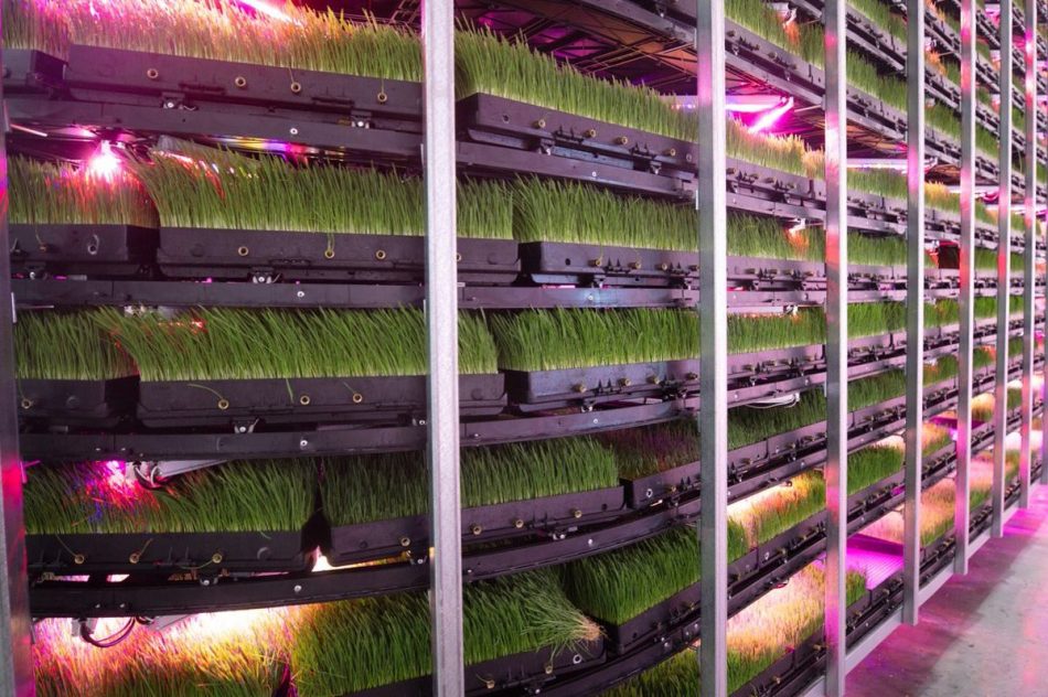 This vertical farm wants to im
