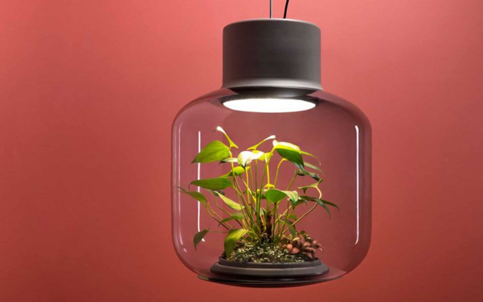 Elegant planter lamp lets you 