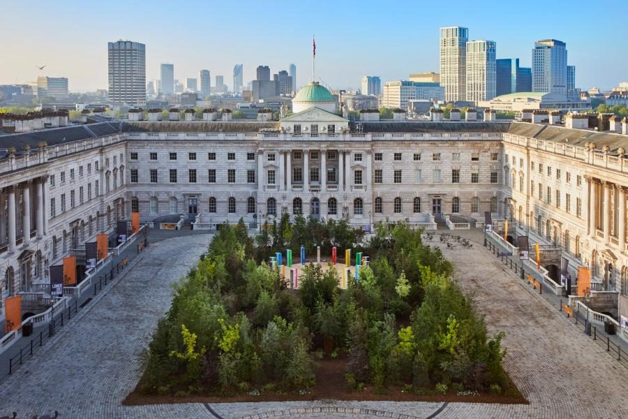 Somerset House welcomes trees 