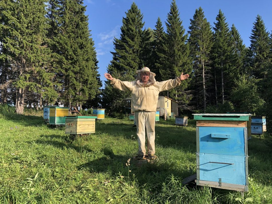 How a beekeeping business revi