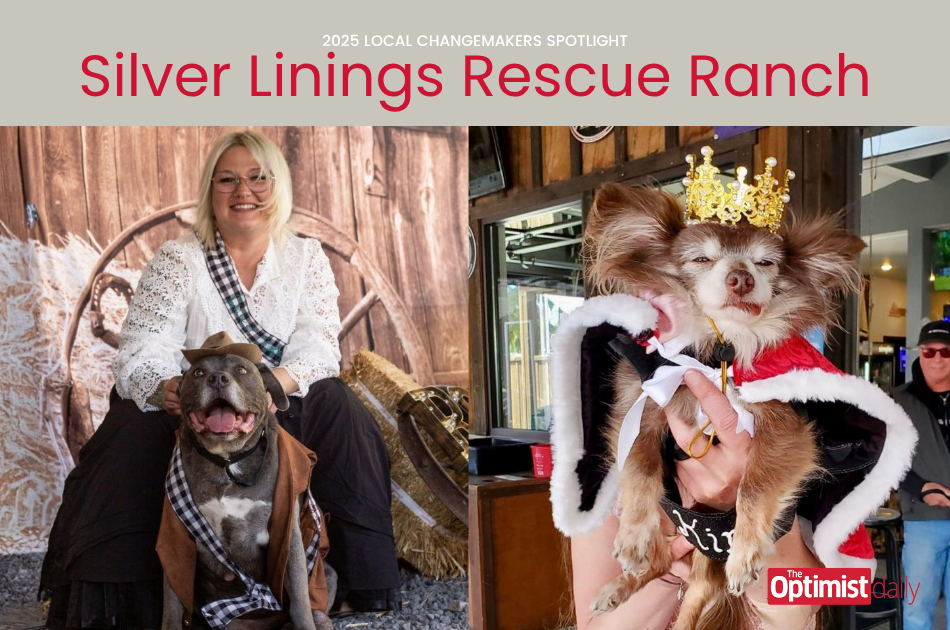 Silver Linings Rescue Ranch proves senior dogs deserve love, care, and a new leash on life