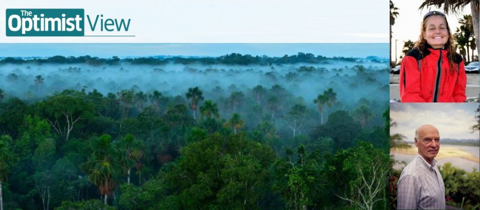 Riverbottoms and Rainforests: 