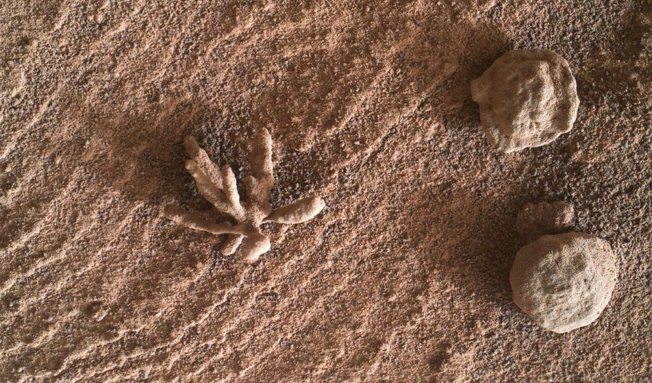 Mineral-like crystal flower discovered by Curiosity rover on Mars.