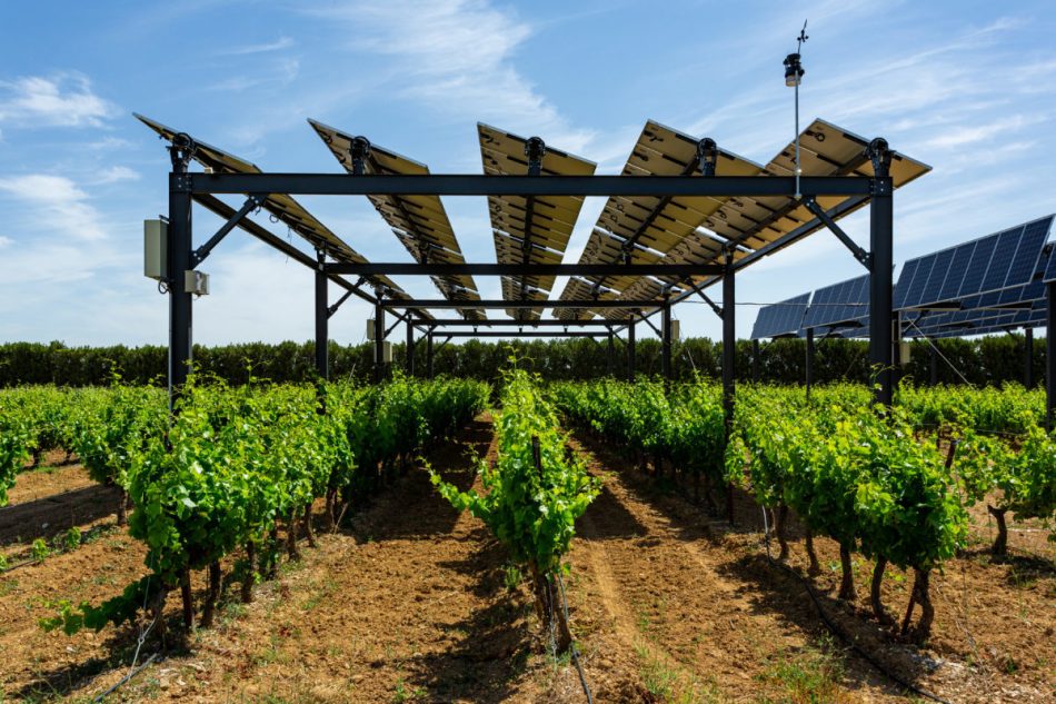 Solar companies and farmers ar