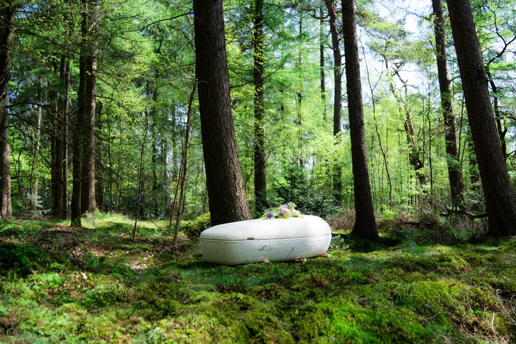 Mushroom caskets offer an earth-friendly goodbye in North America’s first burial of its kind