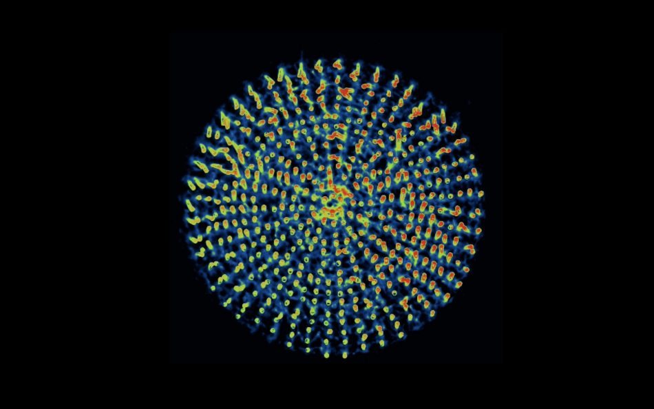 Artificial cilia robots which respond to light aligned in a circle formation.