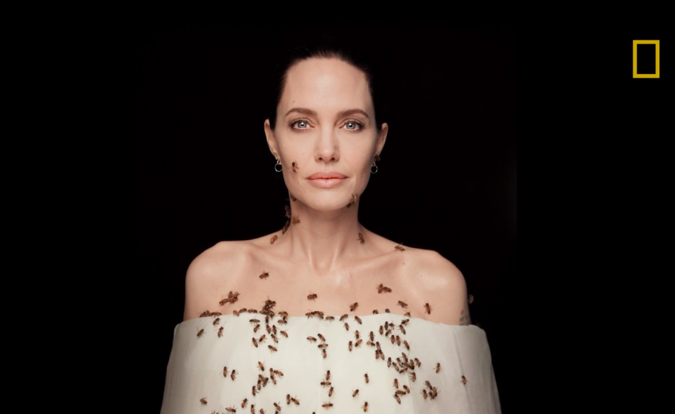 Angelina Jolie covers herself 