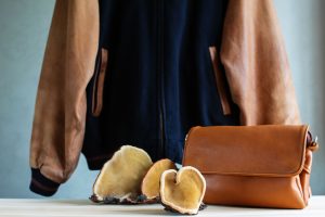 Concept of mushroom leather - jacket, bag and brown tree mushrooms. Sustainable textile made from mushrooms mycelium