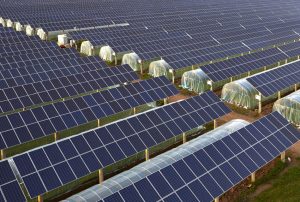 Overlooking the solar photovoltaic panels and agricultural planting temperature shed