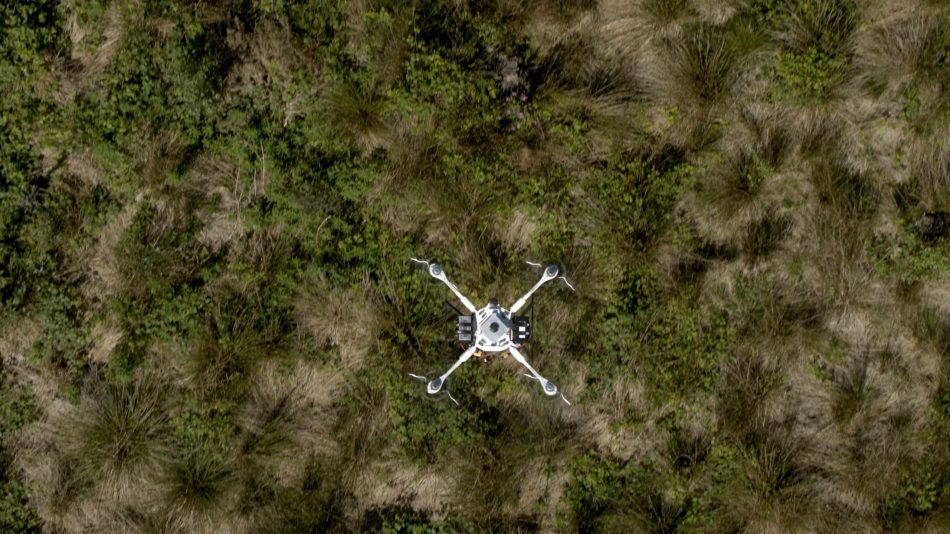 How drones and AI can restore 