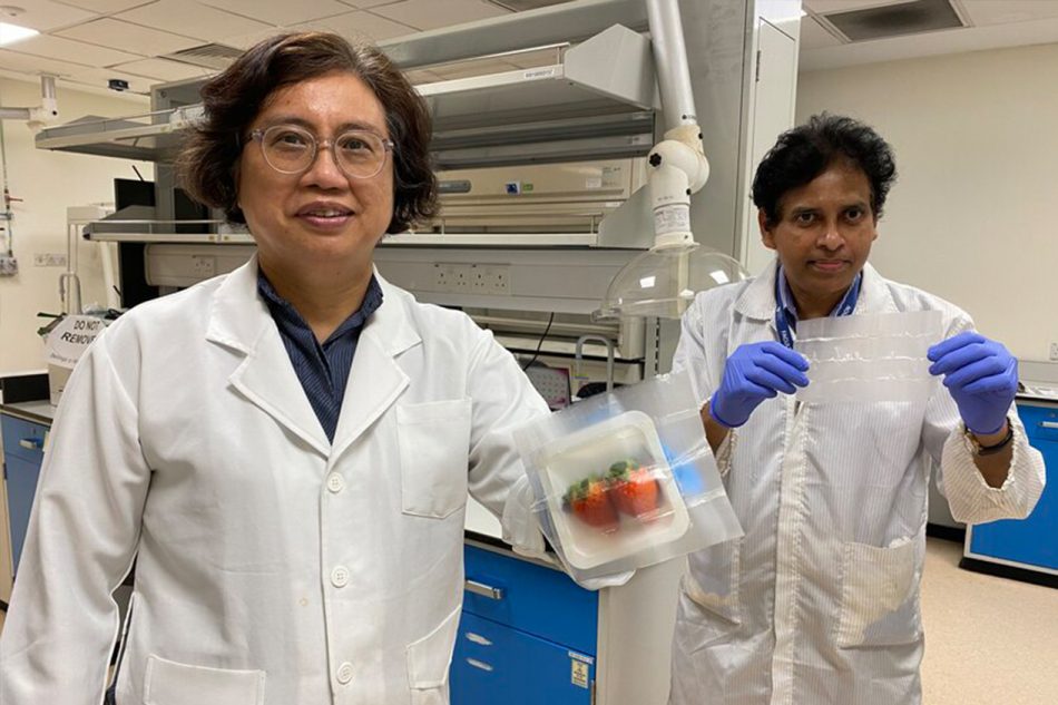 Two scientists show off new biodegradable and antimicrobial food packaging