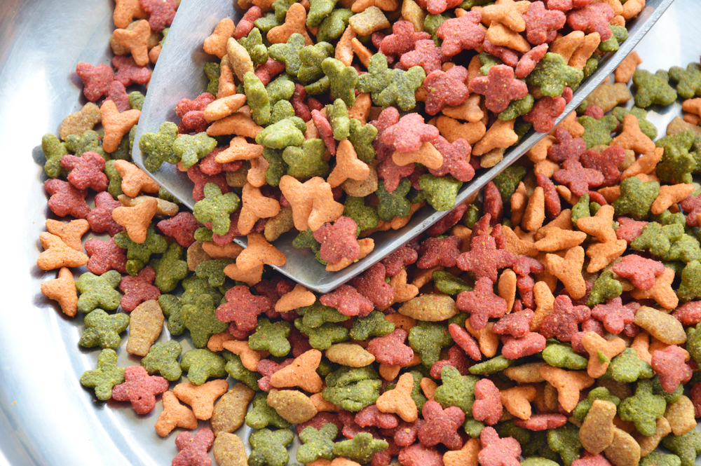 NYC food pantries are now stocking pet food for struggling households