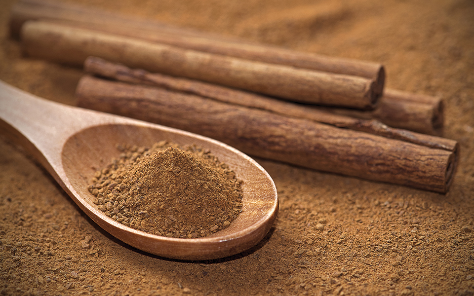 Cinnamon: a simple way to figh