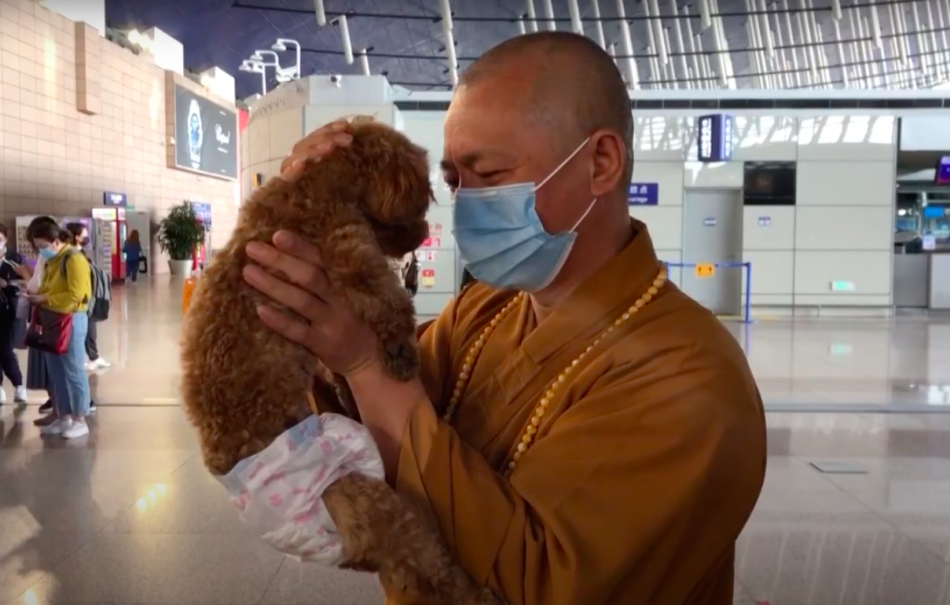 Buddhist monk provides new lif