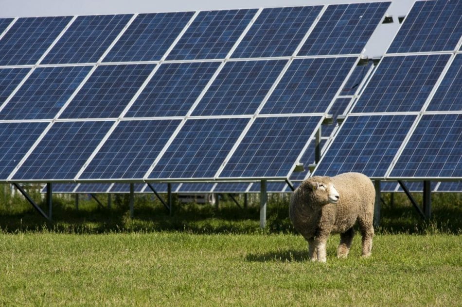 Solar panels are helping US fa