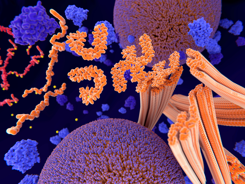 3D illustration of orange antibody proteins binding to purple spherical cells with fibrous strands nearby