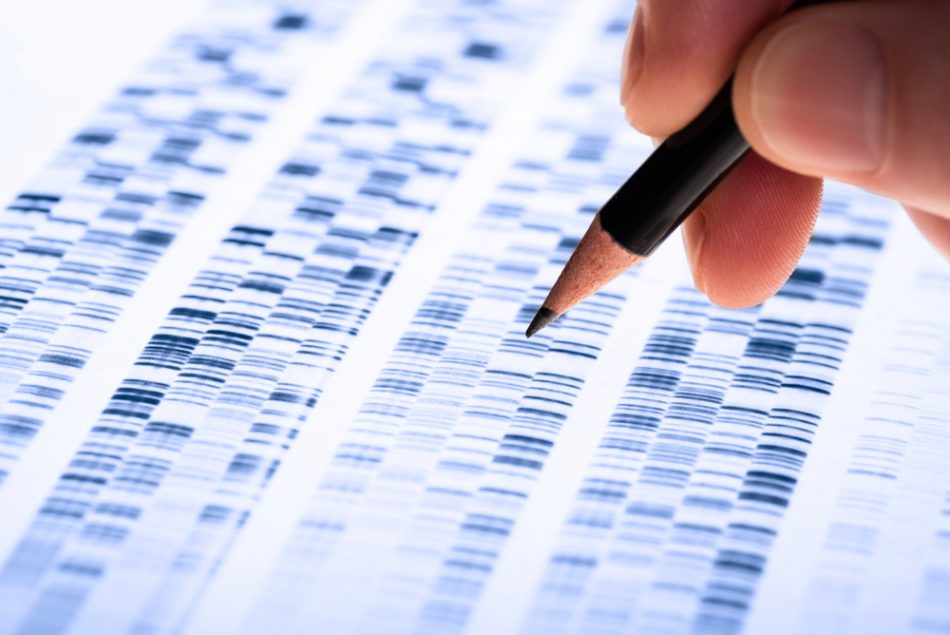 Scientists analyzes DNA