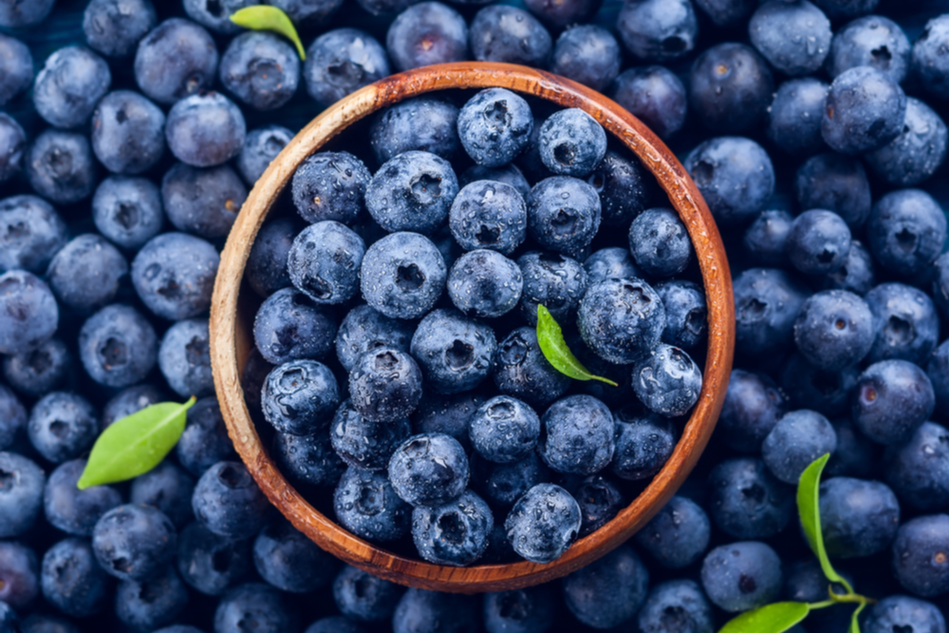 A bowl full of blueberries surrounded by bluberries
