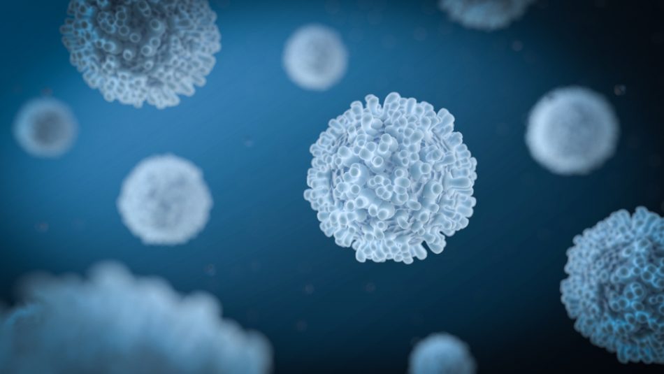 3D illustration of immune cells.