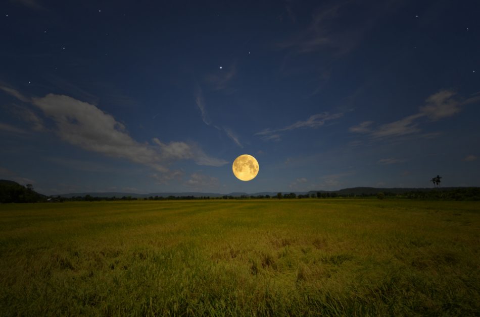 harvest moon over field