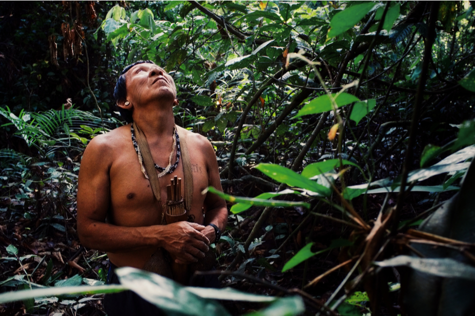 Indigenous man in tropical forest looking towards the sky