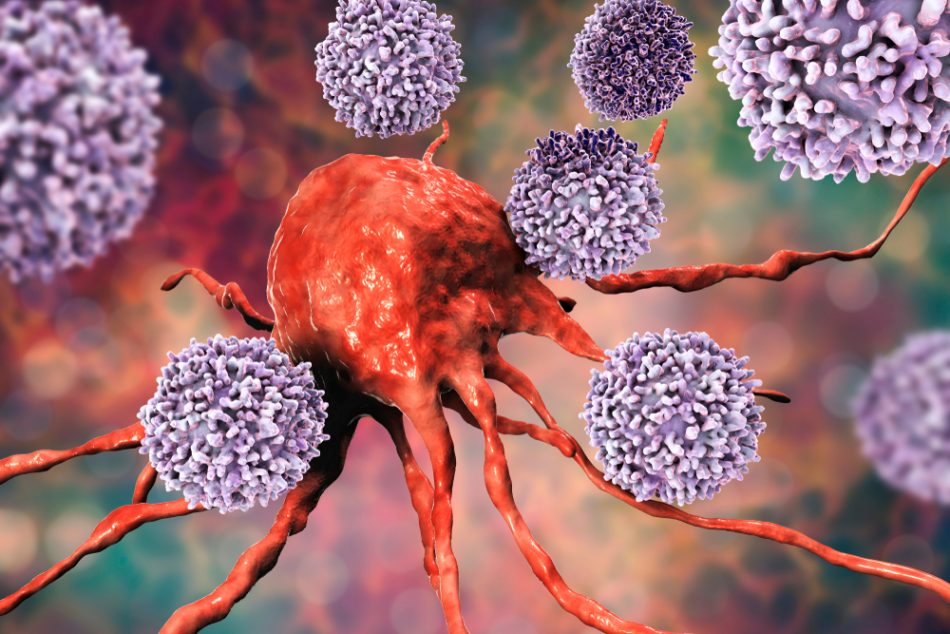 T cells attacking cancer cell.