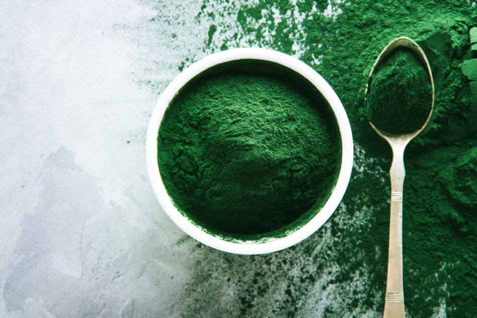 Spirulina powder in a bowl and on a spoon