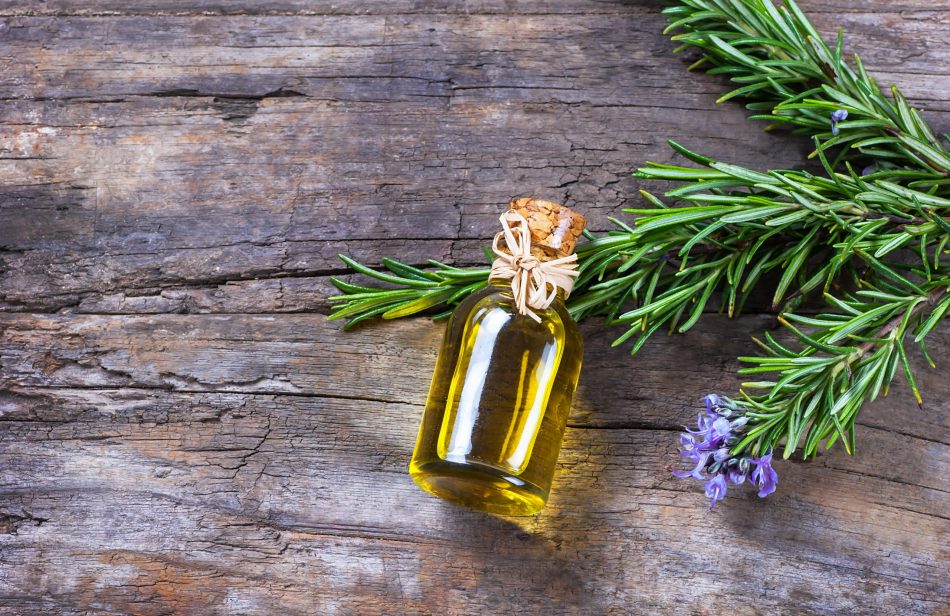 Bottle glass of essential rosemary oil with rosemary branch and flower on wooden rustic background.