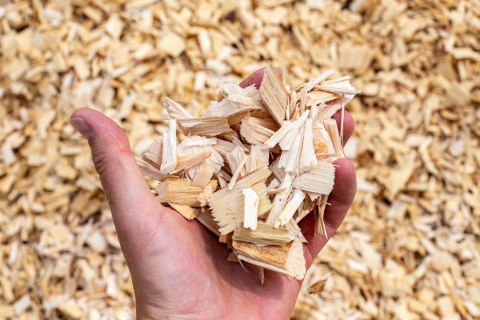 Bioplastic made from wood wast