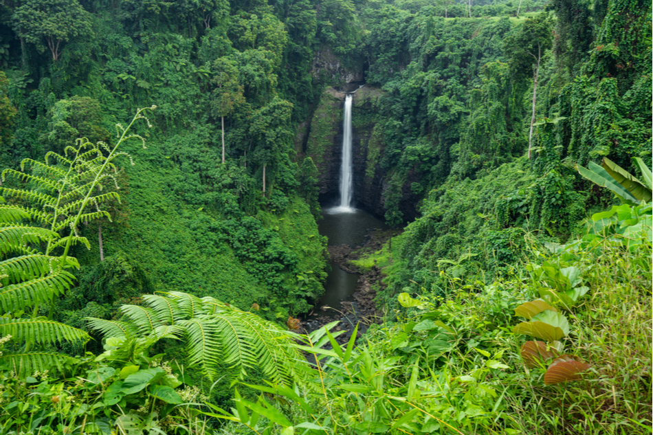 Waterfall in the Samoan rainforest
