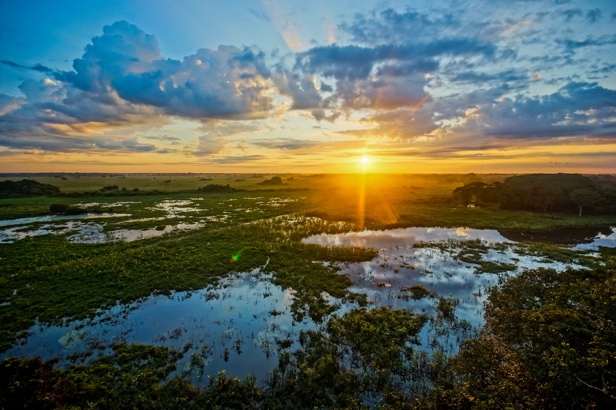 travel to pantanal brazil