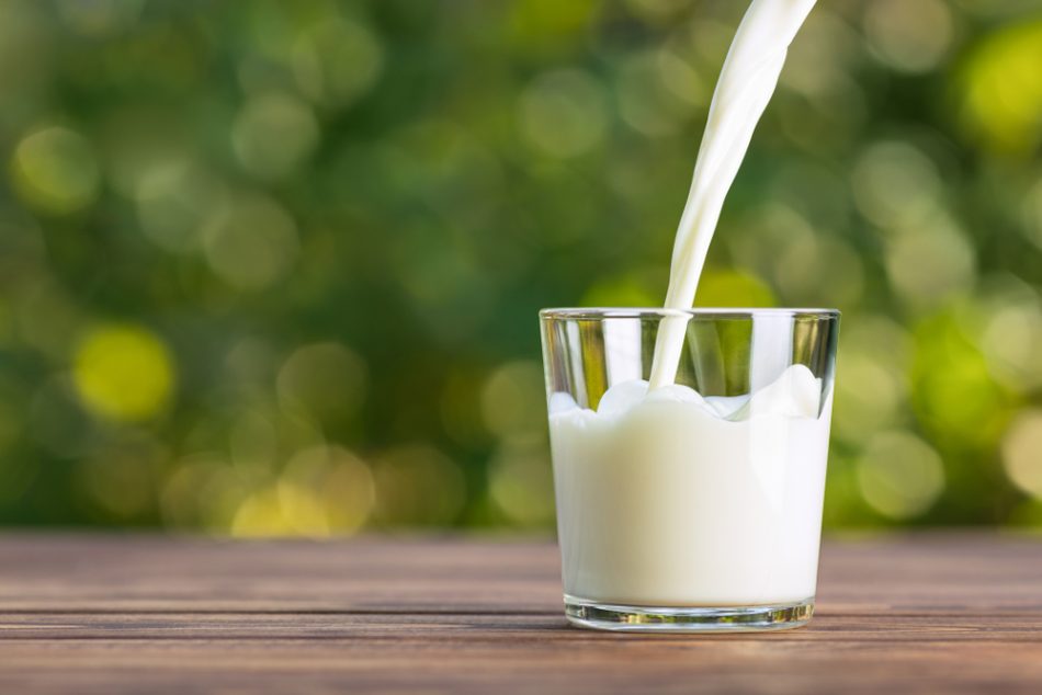 Eco-friendly, lab-grown milk t