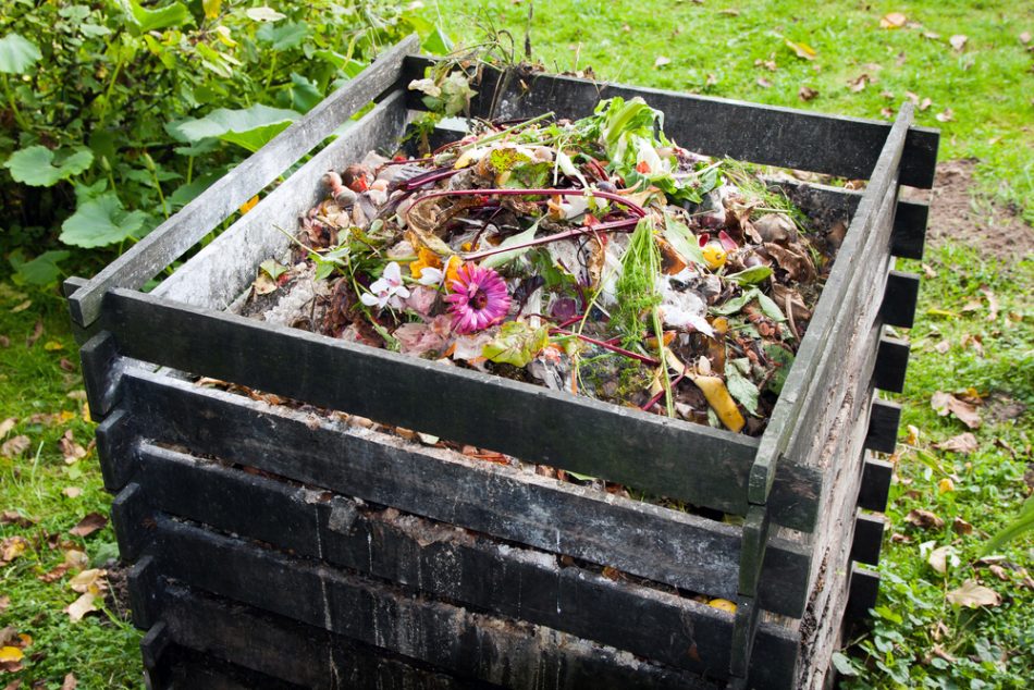 Compost bin in the garden.