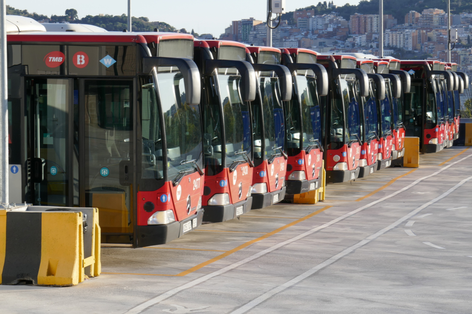 Barcelona's bus fleet parked in a line