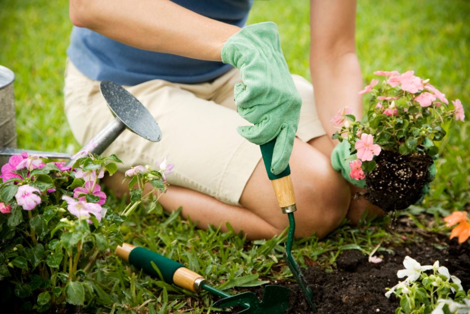 Study: Regular gardening impro
