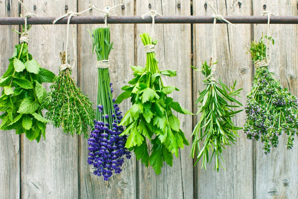 Drying your own herbs is easie