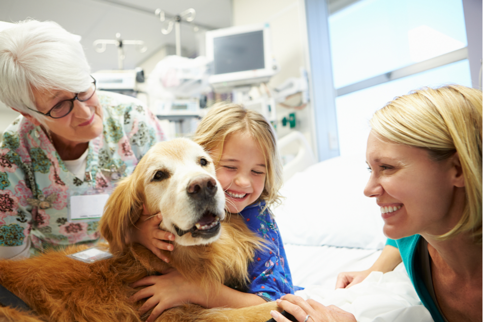 Happy young girl in hospital hugging a therapy dog